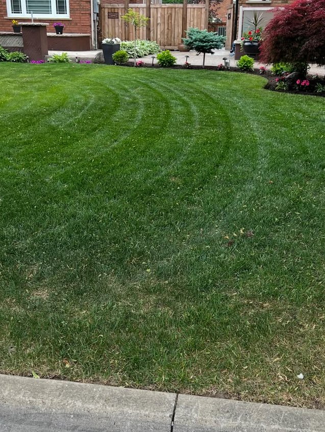 Green Haven Landscapes Ltd. landscaping work
