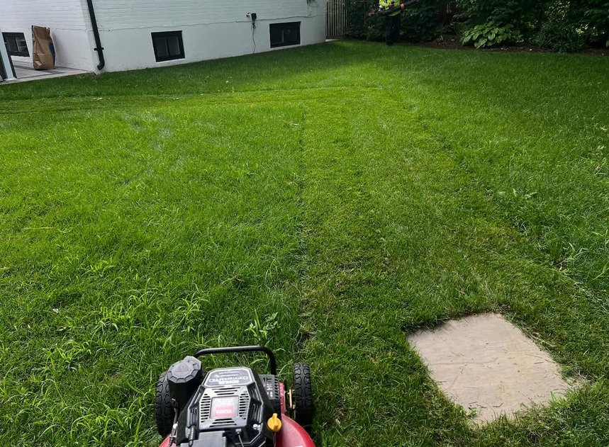 Green Haven Landscapes Ltd. landscaping work