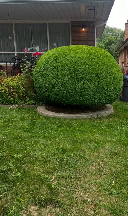 Green Haven Landscapes Ltd. landscaping work